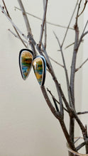 Load image into Gallery viewer, Opalized Wood Gemstone and Sterling Silver Earrings